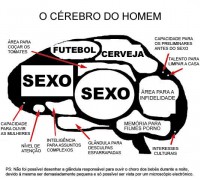 /album/galeria-de-fotos-pagina-inicial/cerebo-do-homem-jpg1/